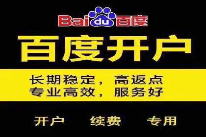 行业佼佼者：百度推广代理商的典范案例剖析